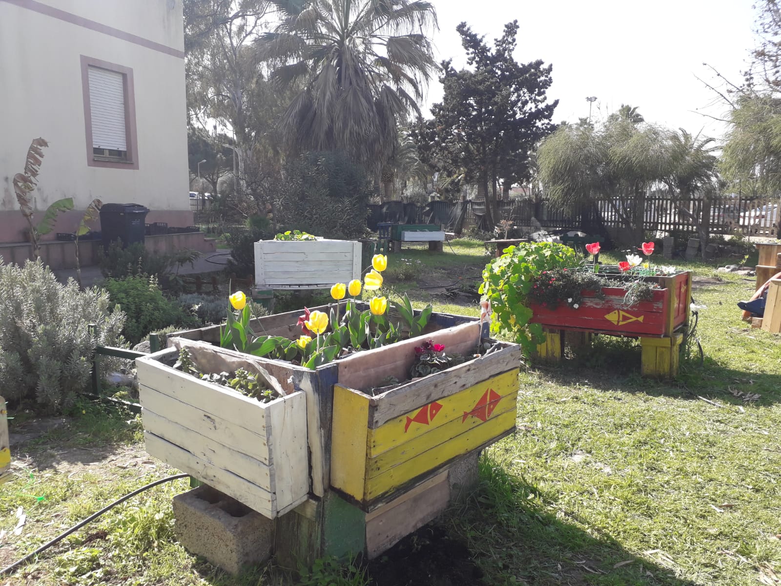 Open day di Primavera al Centro Diurno di Marina Piccola