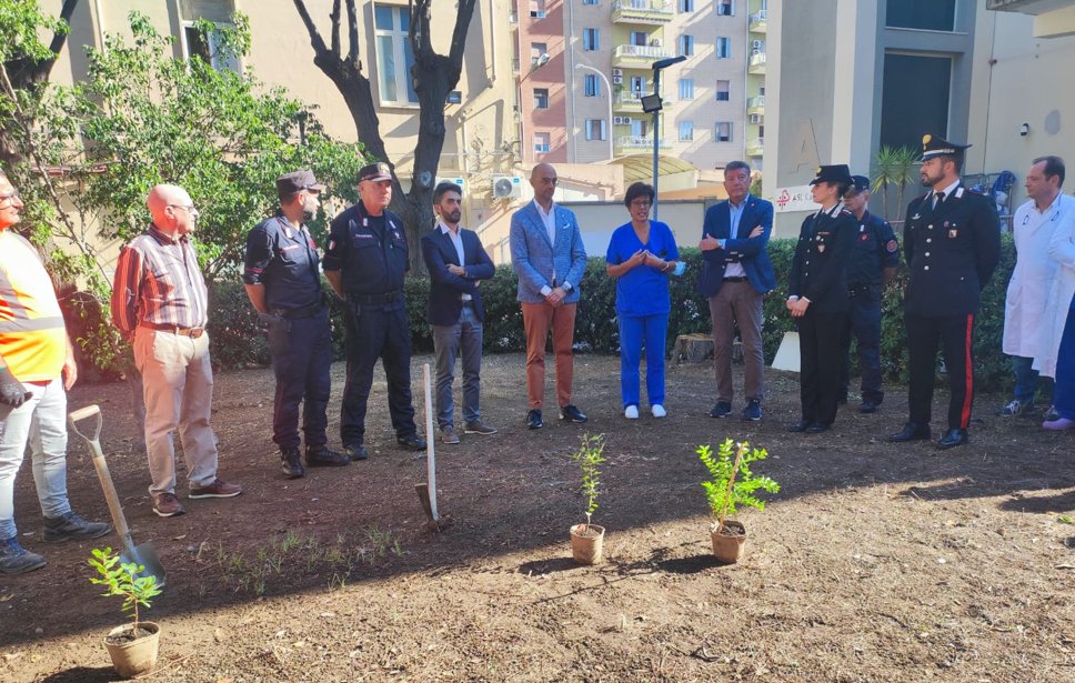 “Un albero per la salute”: cerimonia al SS. Trinità di Cagliari