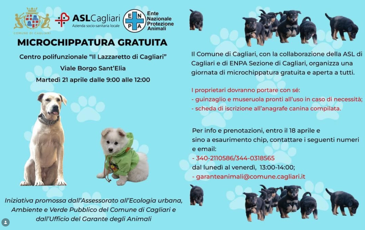 Microchippatura gratuita al Lazzaretto di Cagliari