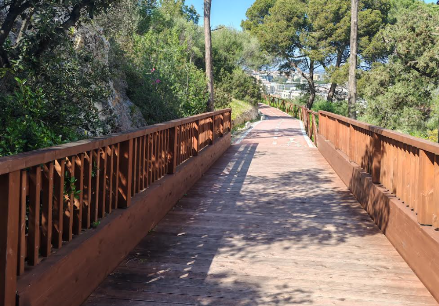 Giornata mondiale della attività fisica